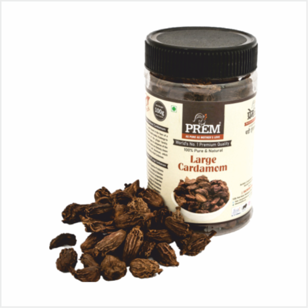 Large Cardamom